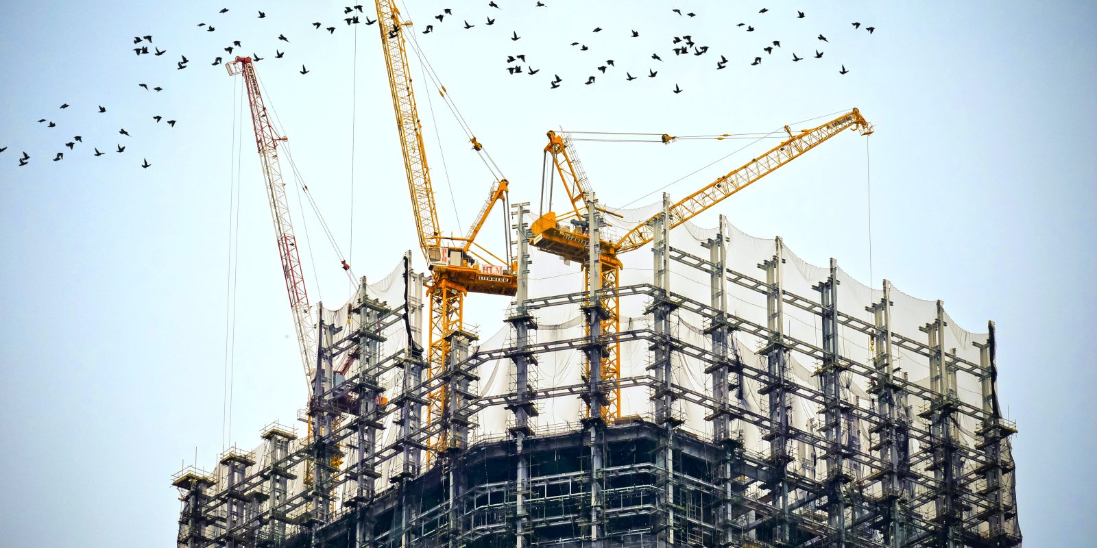 استشارات البناء